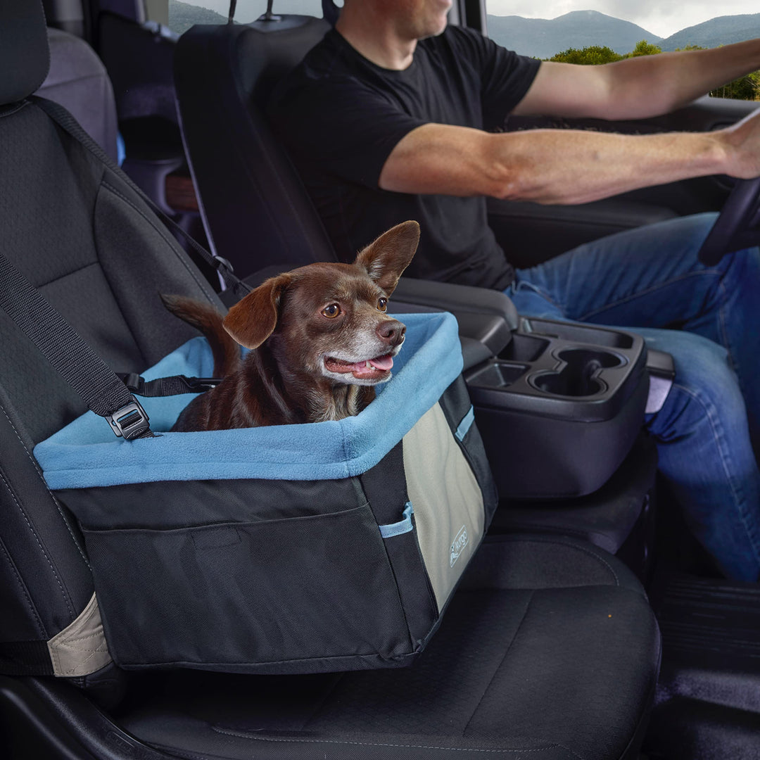 Dog Booster Seats for Cars - Pet Car Seats for Small Dogs and Puppies Weighing Under 30 lbs - Headrest Mounted - Dog Car Seat Belt Tether Included - Rover Style, Black/Blue