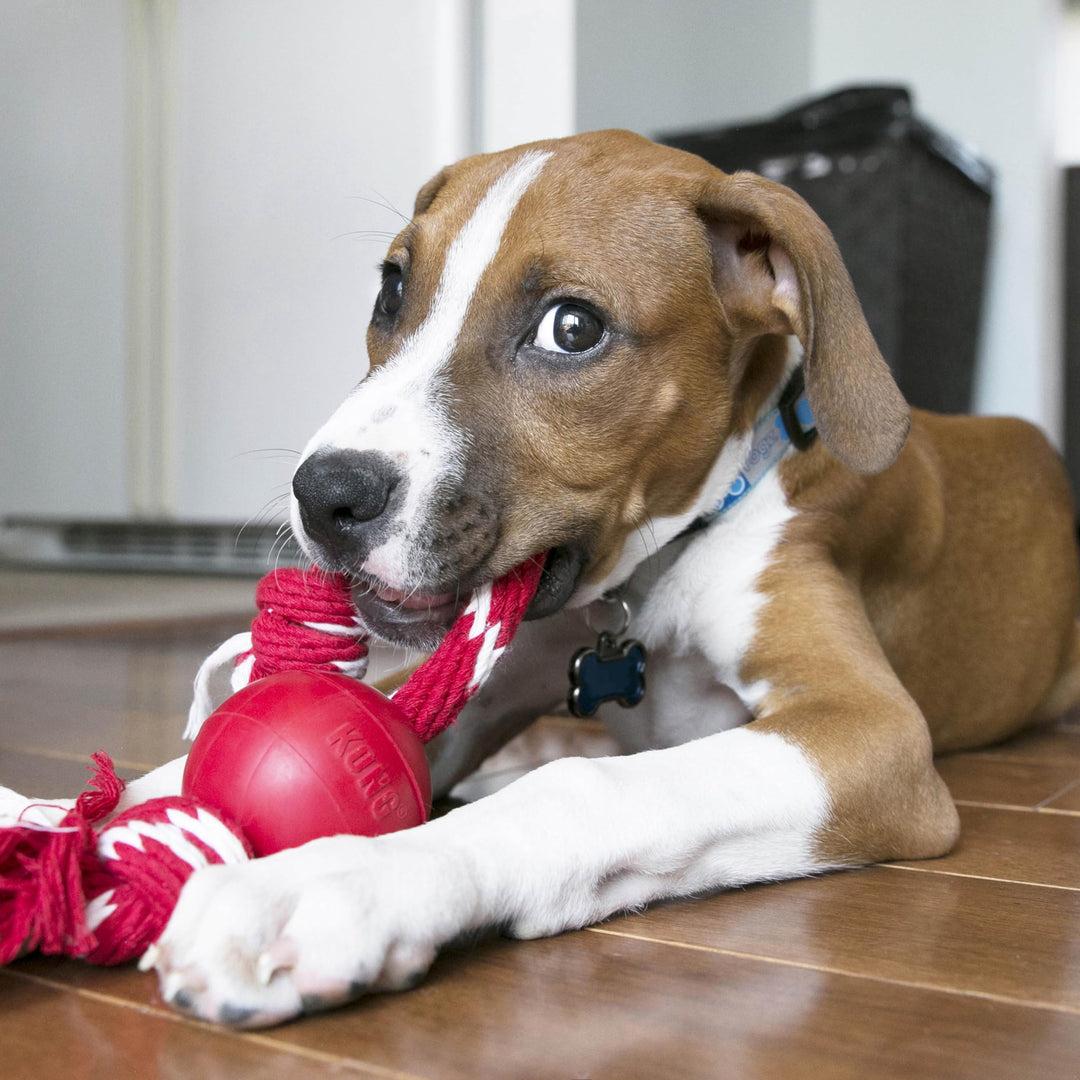 Ball with Rope - Durable Fetch Toy with Rope for Easy Throwing - For Tug, Playtime & More - Natural Rubber - Red - For Small Dogs