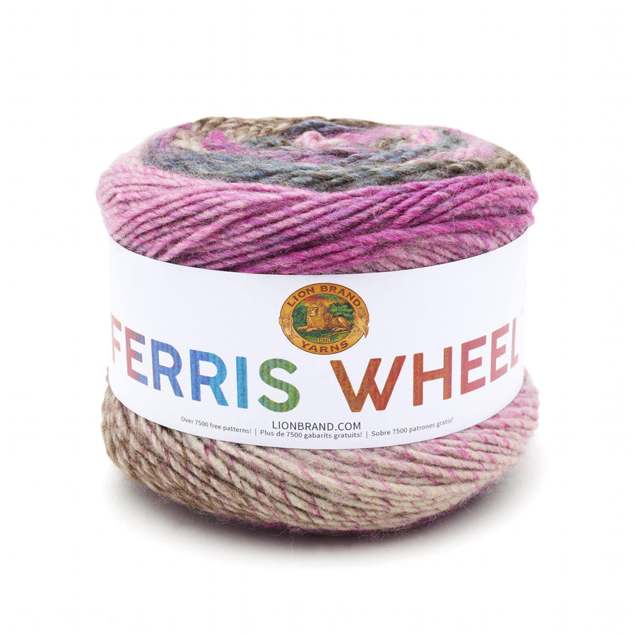 Ferris Wheel Yarn, Multicolor Yarn for Knitting, Crocheting, and Crafts, 1-Pack, Wild Violets