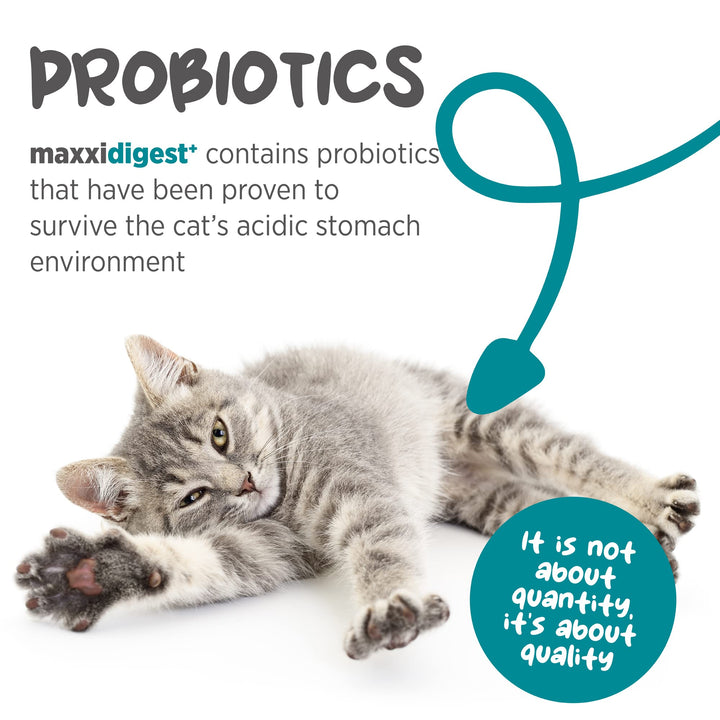 maxxidigest+ Probiotic & Prebiotic Powder Supplement - Digestive & Immune Support for Cats, 7oz