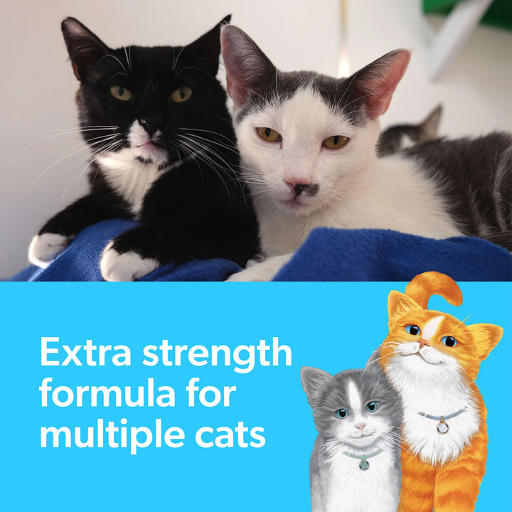 Advanced Multi Cat Clumping Litter with Febreze Freshness, Clumping Cat Litter Extra Strength Formula, 37 lbs. (2 x 18.5 lb. Box)