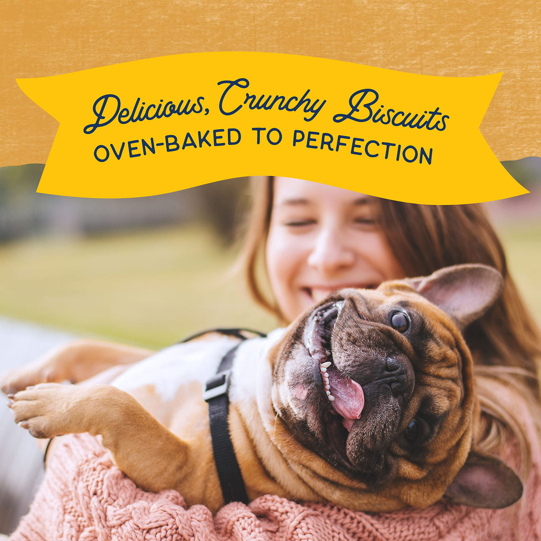 Limited Ingredient Rewards Crunchy Biscuits, Grain-Free Dog Treats for Adult Dogs of All Breeds, Duck Recipe, 28 Ounce (Pack of 1)