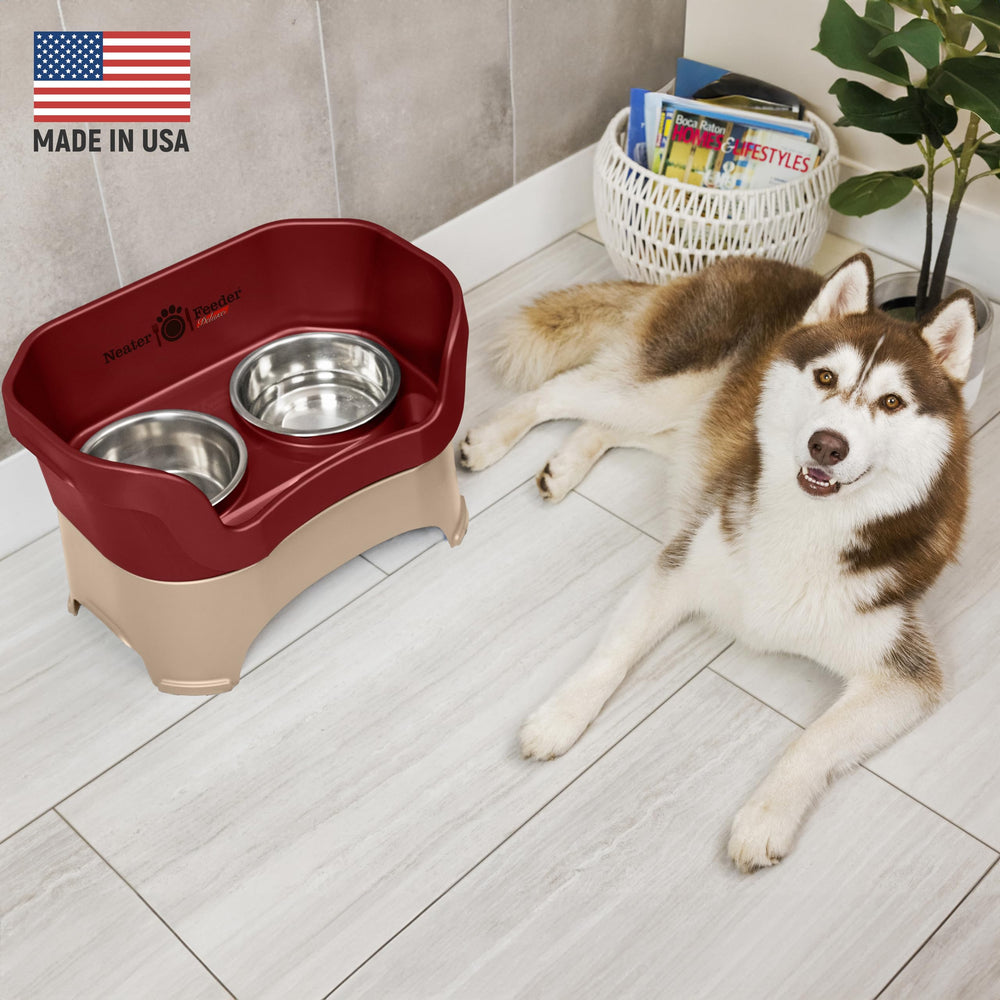 Neater Feeder Deluxe Mess Proof Dog Bowls Elevated for Large Breed – Made in USA – No Spill Raised Dog Food Bowl Stand – Stainless Steel Food and Water Bowl Set, Pet Dish Feeding Station, Cranberry