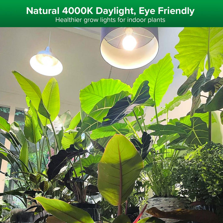 Grow Light Bulb with COC Technology, Full Spectrum 15W Grow Lamp (200 Watt Equivalent) with Optical Lens for High PPFD, Perfect for Seeding and Growing of Indoor Plants, Flowers and Garden