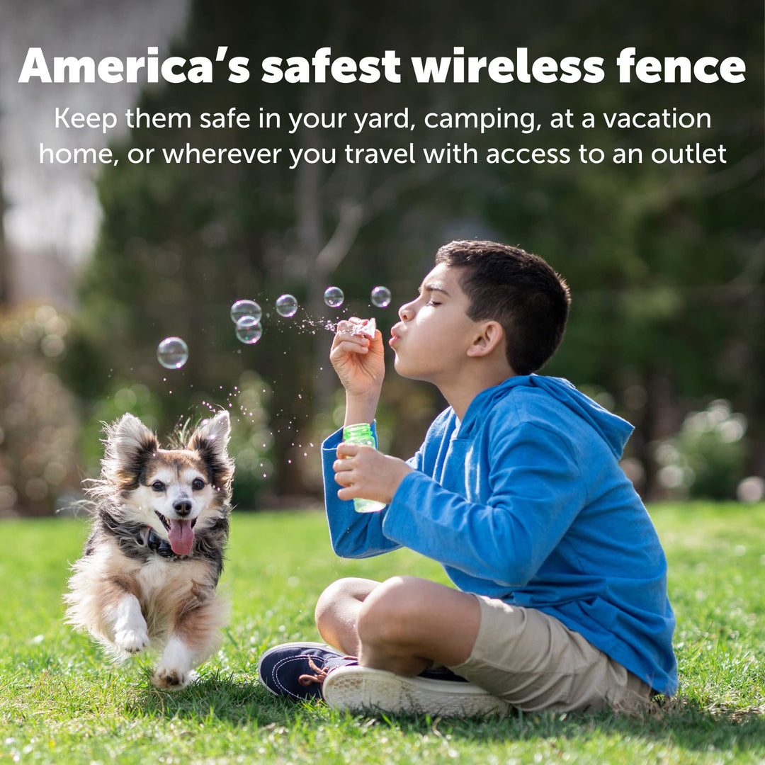 Wireless Pet Containment System Receiver Collar for Dogs, Wireless Dog Collar Waterproof Material, Fits Small, Medium, Large Pets, Electric Fence Receiver Collars (Red and Black)