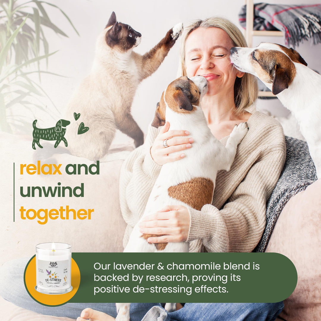 Gerrard Larriett: De-Stress Lavender & Chamomile Scented Candles for Home Decor and Pet Odor - Aromatherapy Stress Relief Soy Wax Candles - Pet Odor Eliminator for Home - Pet Friendly Candles