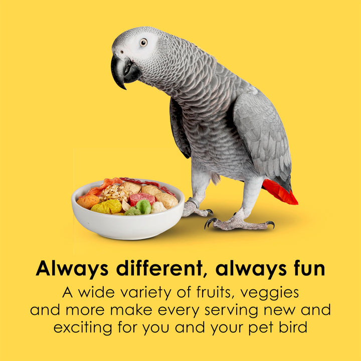 Fiesta Parrot Food, Nutritious and Fun Blend, Supports Skin, Feather, Digestion, Brain and Heart Health, 2.5 pounds