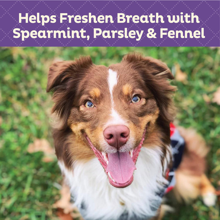 Wellness Minty Fresh Breath Dog Biscuits, Natural, Training Treats, Spearmint, Parsley, Oats, & Chicken Flavor, Mini Size, (20 Ounce Bag)