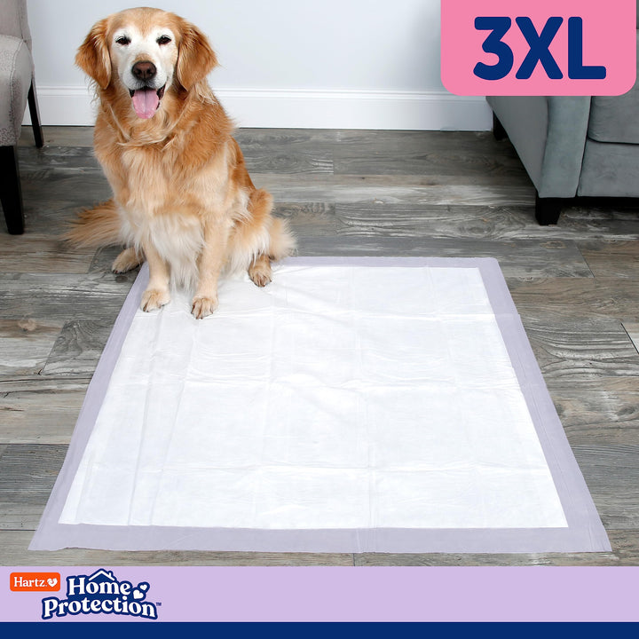 Home Protection Lavender Scented Dog Pads, 3XL 60 Count, Super Absorbent & Won't Leak, Odor Eliminating