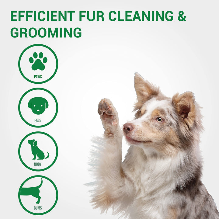 Naturals Pet Wipes for Dogs and Cats 100% Natural Plant Based with Organic Antioxidants, Dog Wipe Cleaning Deodorizing | Cat Wipes | Puppy Wipes | Dog Wipes for Paws and Butt (200ct - 4 Pack)