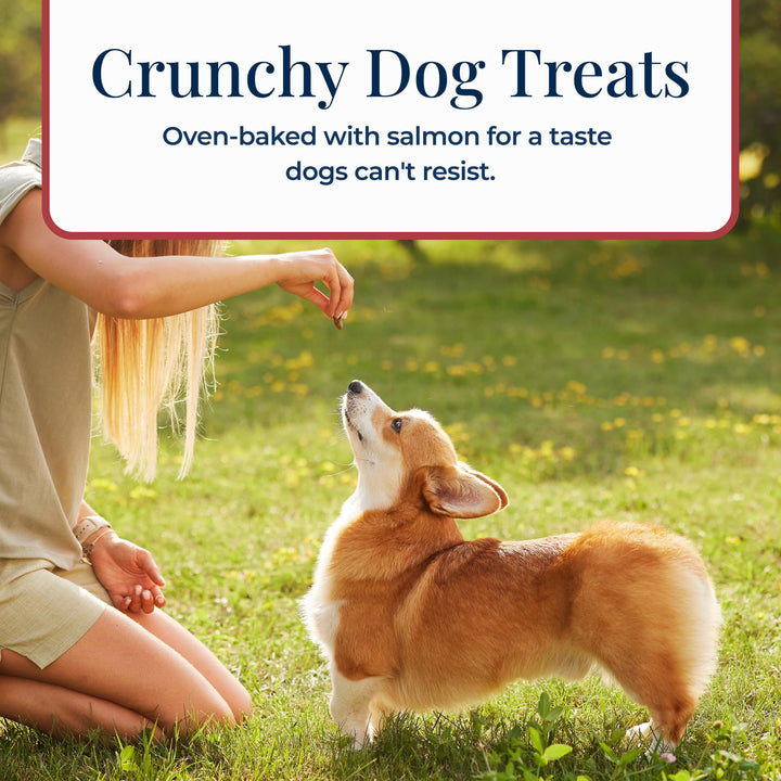 Basics Crunchy Dog Biscuits for Skin & Stomach Care, Limited Ingredient Diet Dog Treats, Salmon & Potato Recipe, 6-oz. Bag