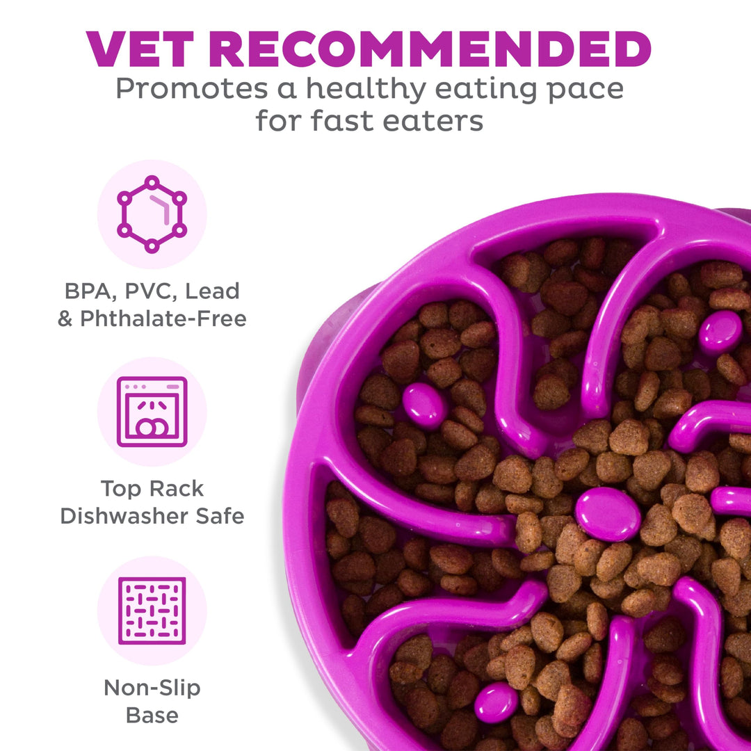 Fun Feeder Slo Bowl, Slow Feeder Dog Bowl, Medium/Mini, Purple