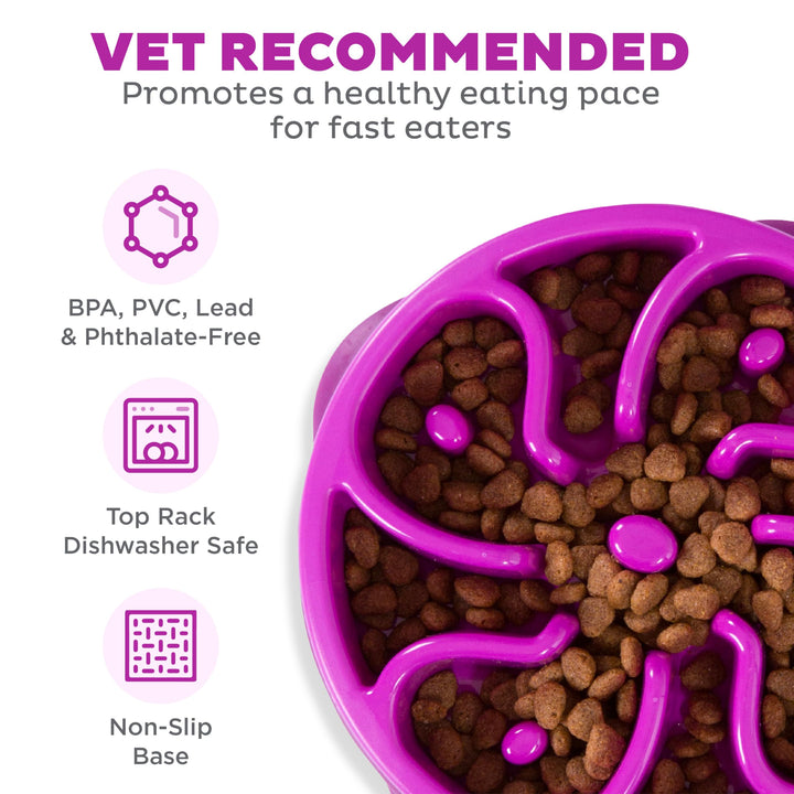 Fun Feeder Slo Bowl, Slow Feeder Dog Bowl, Medium/Mini, Purple