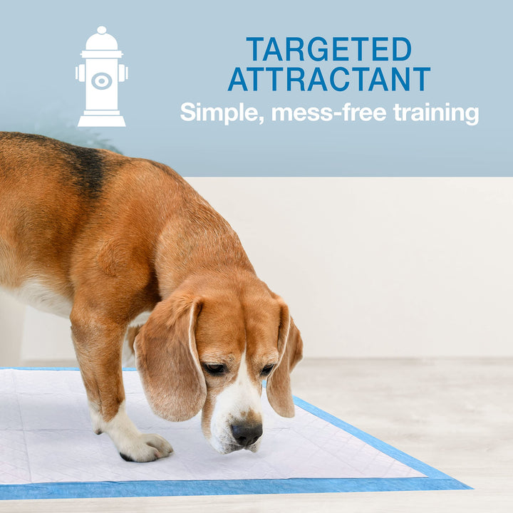 Wee-Wee Superior Performance Unscented Extra-Large Pee Pads for Dogs & Puppies, Quilted Leak-Proof Dog Housebreaking Potty Training Floor Protection, 28 x 34, 40 Count