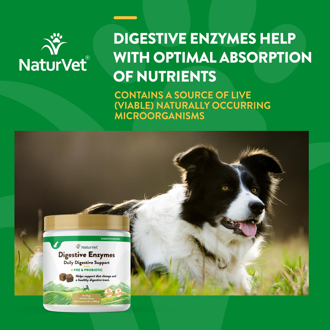 – Digestive Enzymes - Plus Probiotics & Prebiotics – Helps Support Diet Change & A Healthy Digestive Tract – for Dogs & Cats (Soft Chews, 120 Count)