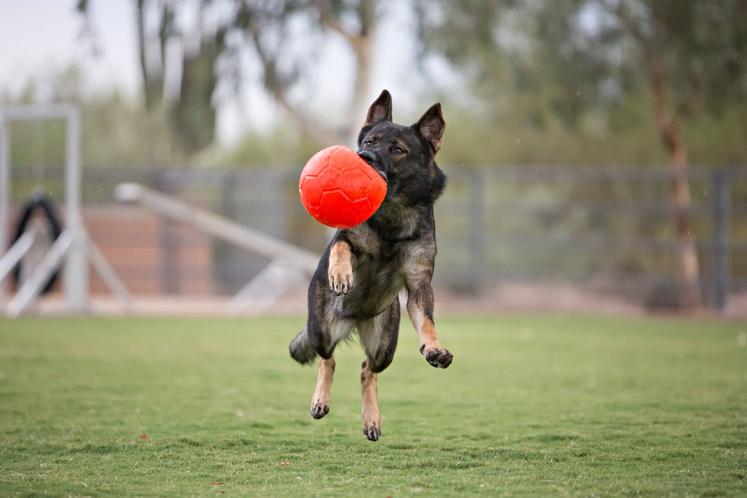 Large Soccer Ball Floating-Bouncing Dog Toy, 8 inch Diameter, Orange