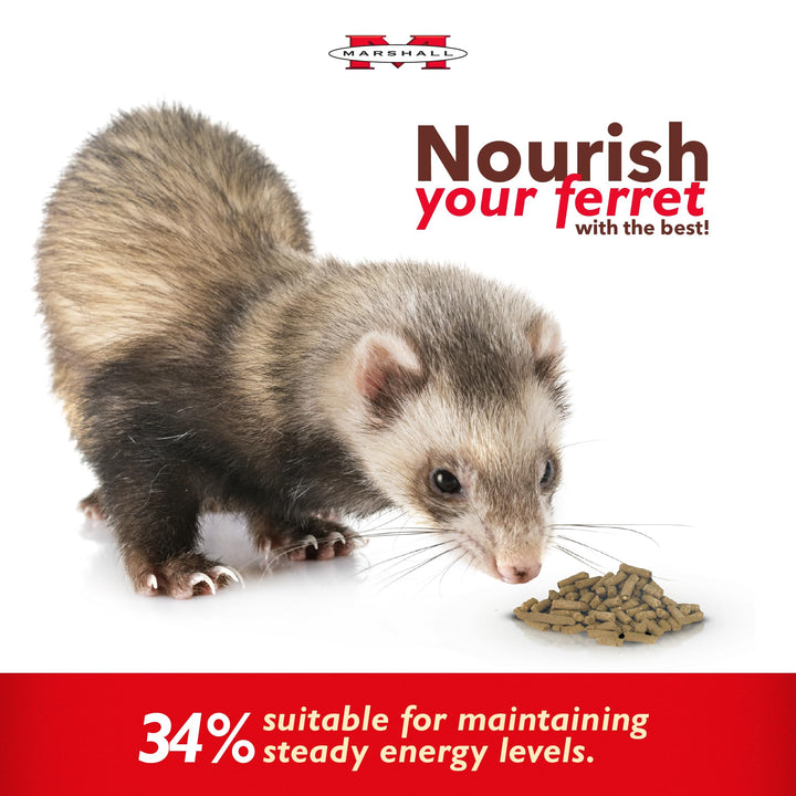 Premium Ferret Diet Dry Food, 18 lbs – Balanced Nutrition for Ferret Health, Supports Digestion, Muscle Maintenance & Energy Levels