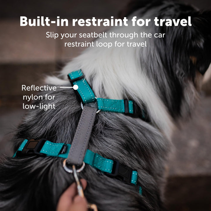 3 in 1 Dog Harness - No Pull Solution for Dogs - Reflective Dog Harness - Front D-Ring Clip Helps Stop Pulling - Comfortable Padded Straps - Top Handle Enhances Control - Black - Medium
