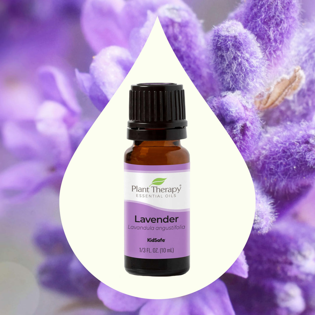 Lavender Essential Oil 100% Pure, Undiluted, Natural Aromatherapy, Therapeutic Grade 100 mL (3.3 oz)