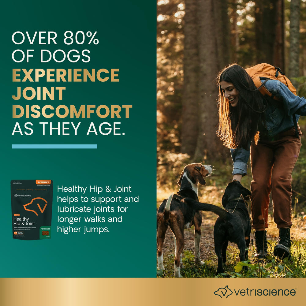 VetriScience GlycoFlex Healthy Hip & Joint Glucosamine Supplements for Dogs, with MSM & Green-Lipped Mussel, Soft Chews, Chicken, 120 Count - New Look