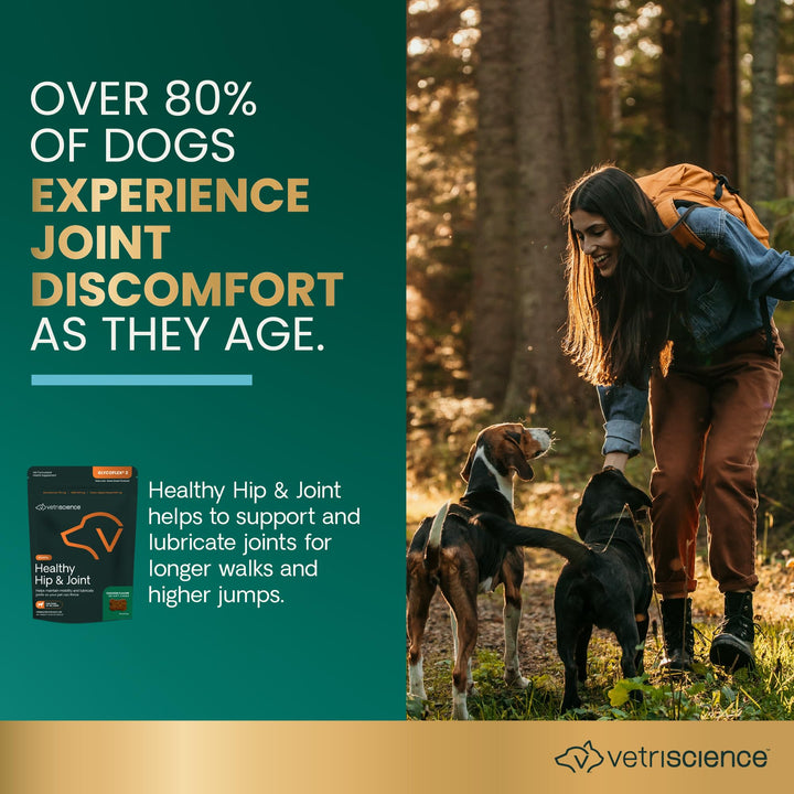 VetriScience GlycoFlex Healthy Hip & Joint Glucosamine Supplements for Dogs, with MSM & Green-Lipped Mussel, Soft Chews, Chicken, 120 Count - New Look