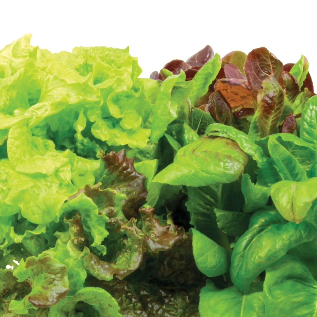 Miracle-Gro Indoor Gardening Seed Pod Kit
