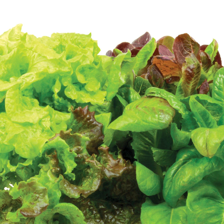 Miracle-Gro Indoor Gardening Seed Pod Kit