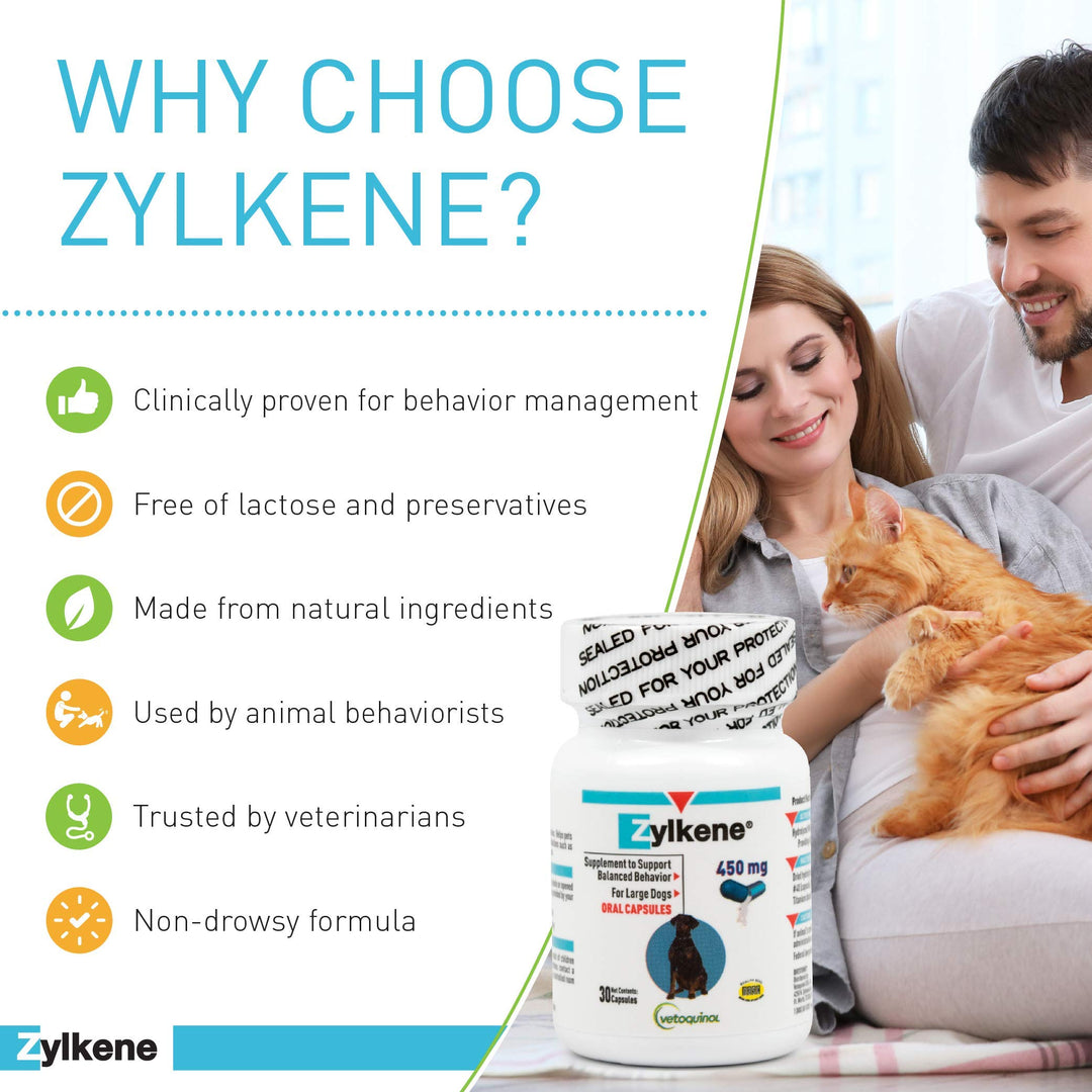 Zylkene Calming Support Supplement for Large Dogs 33-132lbs, Helps Promote Relaxation and Reduce External Stress Factors, Daily Behavioral Support and Anxiety Relief for Dogs, 450mg