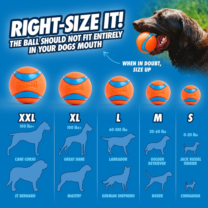 Sport 14S Dog Ball Launcher - Includes a 2-inch Diameter Small Ball for Dogs 0-20 Pounds - Manual Tennis Ball Thrower With a Slim Handle - 14-inch Length Chucker