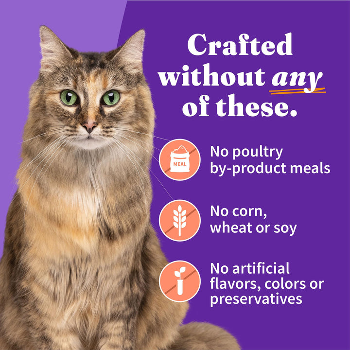 Adult Wet Cat Food, Grain Free, Chicken Shrimp & Crab Stew 5.5oz Can (Pack of 12)
