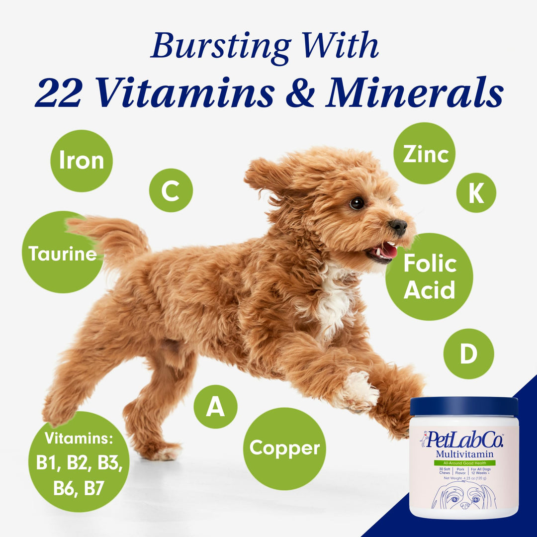22 in 1 Dog Multivitamin - Support Dog's Immune Response, Skin, Coat, Joints & Overall Health - Vitamins A, E, D, B12, Minerals, Antioxidants - Chewable Pork Flavor
