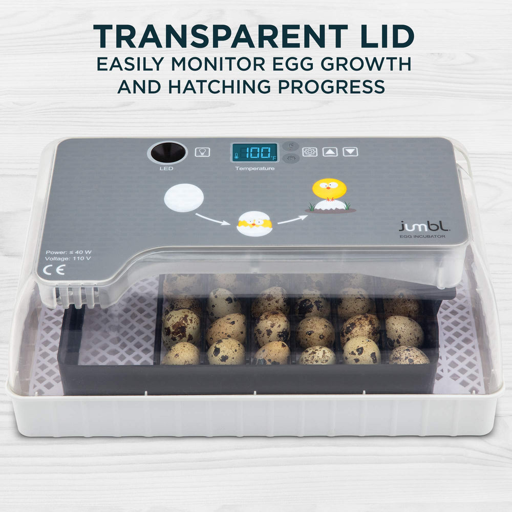 Clear Egg Incubator, Fully Automatic Digital Poultry Hatching Machine, Temperature Control & Automatic Egg Turner, LED Candler, Mini 12-35 Egg Incubator Breeder for Chicken, Ducks & More