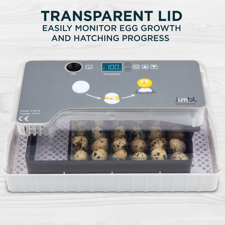Clear Egg Incubator, Fully Automatic Digital Poultry Hatching Machine, Temperature Control & Automatic Egg Turner, LED Candler, Mini 12-35 Egg Incubator Breeder for Chicken, Ducks & More