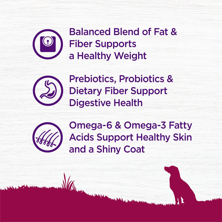 Complete Health Dry Dog Food, Small Breed, Wholesome Grains, Natural, Healthy Weight Turkey & Brown Rice Recipe, (4-Pound Bag)