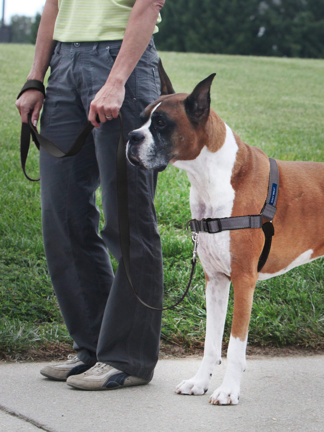 Easy Walk Deluxe Dog Harness, No Pull Dog Harness – Perfect for Leash & Harness Training – Stops Pets from Pulling and Choking on Walks – Large, Steel
