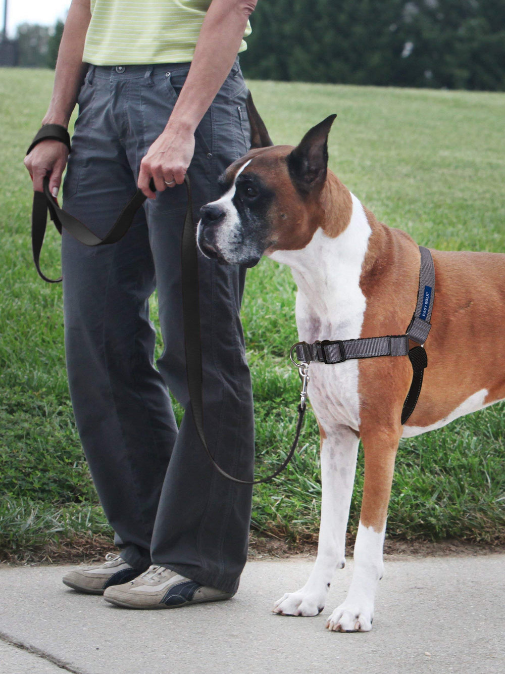Easy Walk Deluxe Dog Harness, No Pull Dog Harness – Perfect for Leash & Harness Training – Stops Pets from Pulling and Choking on Walks – Medium/Large, Steel