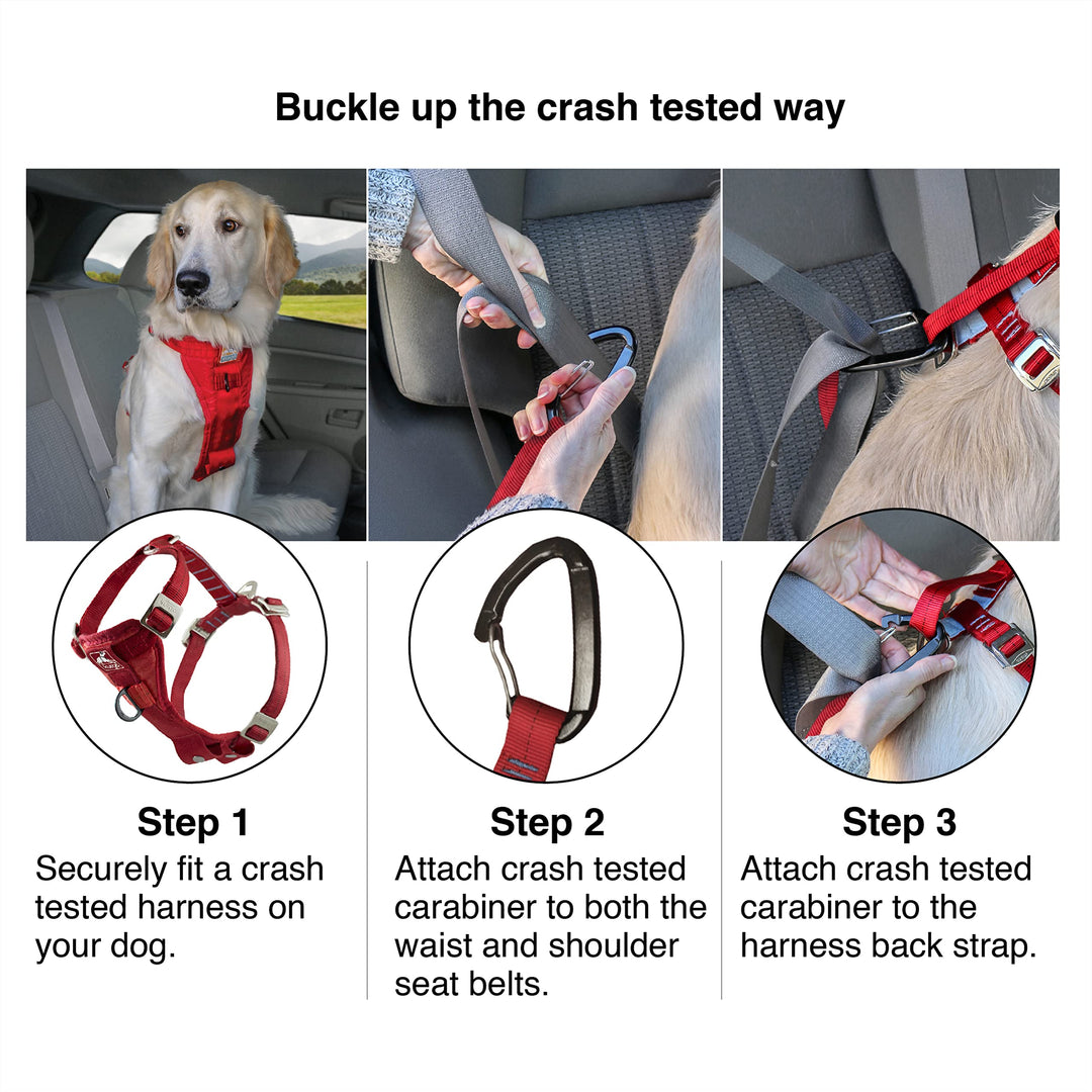 Tru-Fit Enhanced Strength Dog Harness - Certified Crash Tested Car Safety Harness for Dogs - Metal Buckles, Padded Chest - Includes Pet Seatbelt - No Pull Training - Black, Small
