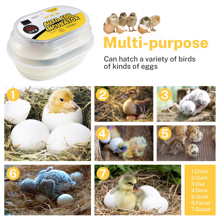 Mini Egg Incubators for Hatching Eggs, with Automatic Egg Turning, 9-12 Eggs Hatching Incubator for Chickens, Ducks, Goose, Birds