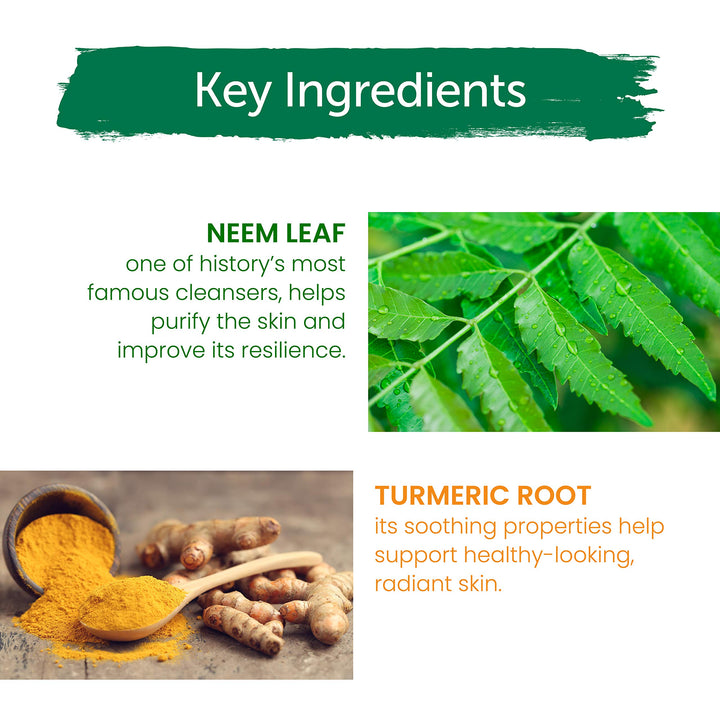 Purifying Neem Mask with Turmeric, Normal to Oily Skin 5.07oz/150ml