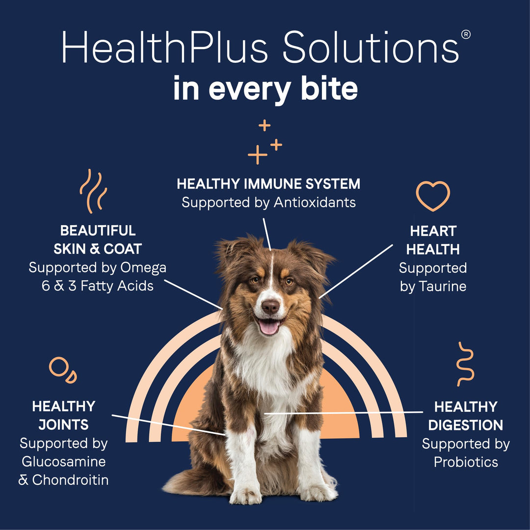 Canidae Pure Real Salmon & Sweet Potato Recipe Adult Dry Dog 22 LB