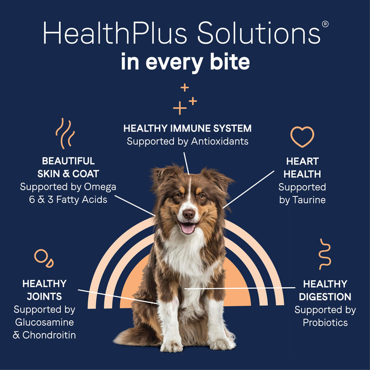 Canidae Pure Real Salmon & Sweet Potato Recipe Adult Dry Dog 22 LB