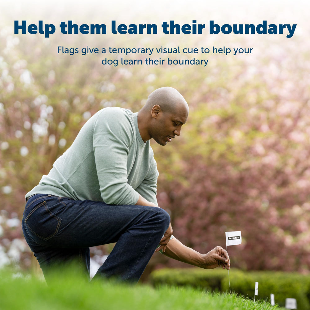 Boundary Flags (Bundle of 50), For Use with 's Dog and Cat In-Ground Fences and Wireless Fences - From the Parent Company of INVISIBLE FENCE Brand