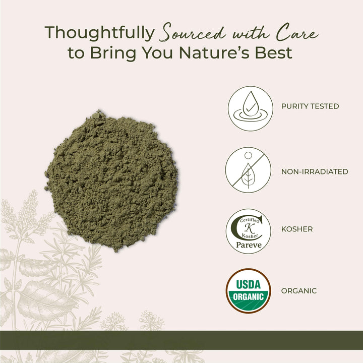 Organic Wheat Grass Powder - Natural Superfood for Tea, Juice, & Water, Pure Wheatgrass, Source of Nutrients, Certified Kosher, Non-GMO - Bulk 1 lb Bag