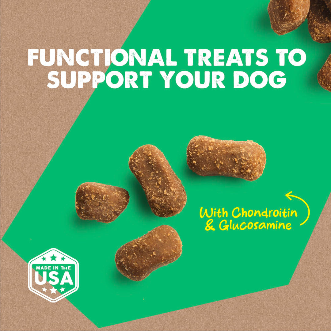 Dynamo Dog Hip & Joint Soft Chew Treats Chicken Formula - Grain Free - 14 oz (20132)