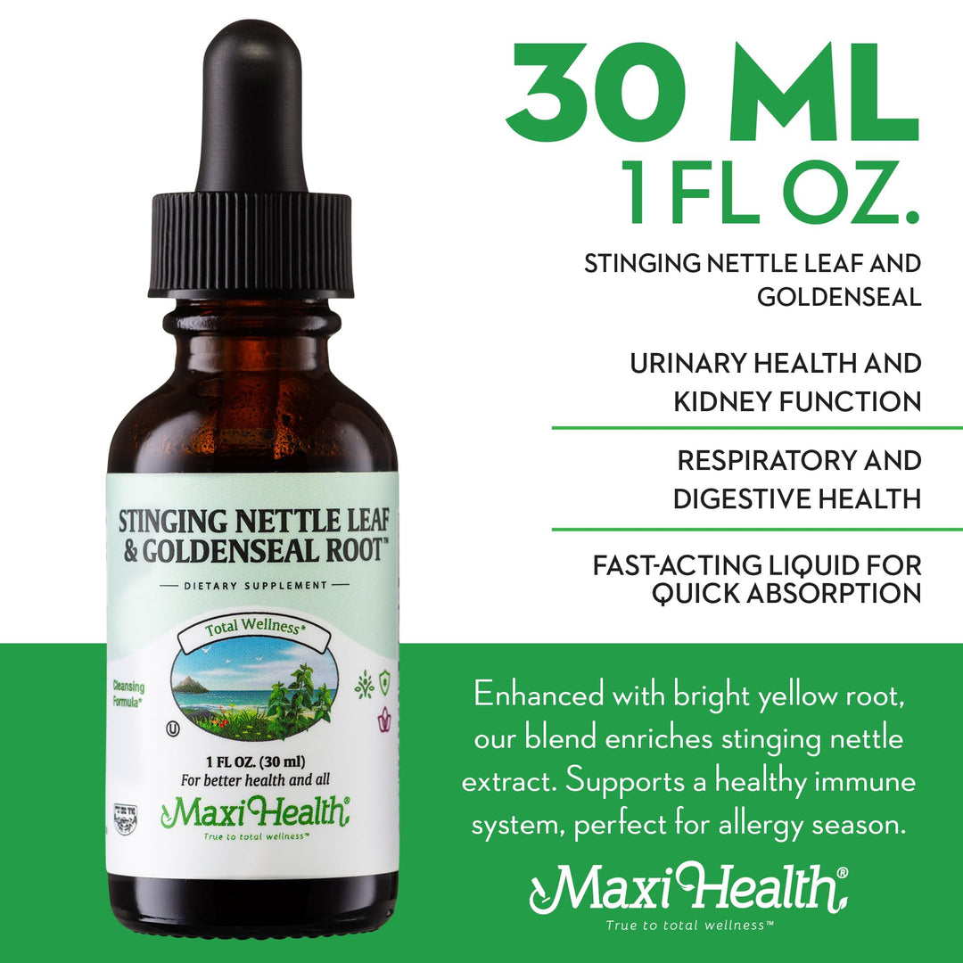 Stinging Nettle Leaf and Goldenseal Root Blend - Alcohol Free Stinging Nettle Tincture with Organic Nettle Leaf (Urtica Dioica) - Urinary Health, Kidney Support - Nettle Extract Liquid Drops, 1 fl oz