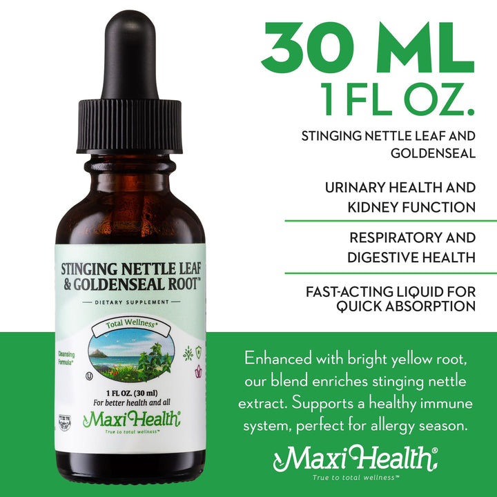 Stinging Nettle Leaf and Goldenseal Root Blend - Alcohol Free Stinging Nettle Tincture with Organic Nettle Leaf (Urtica Dioica) - Urinary Health, Kidney Support - Nettle Extract Liquid Drops, 1 fl oz