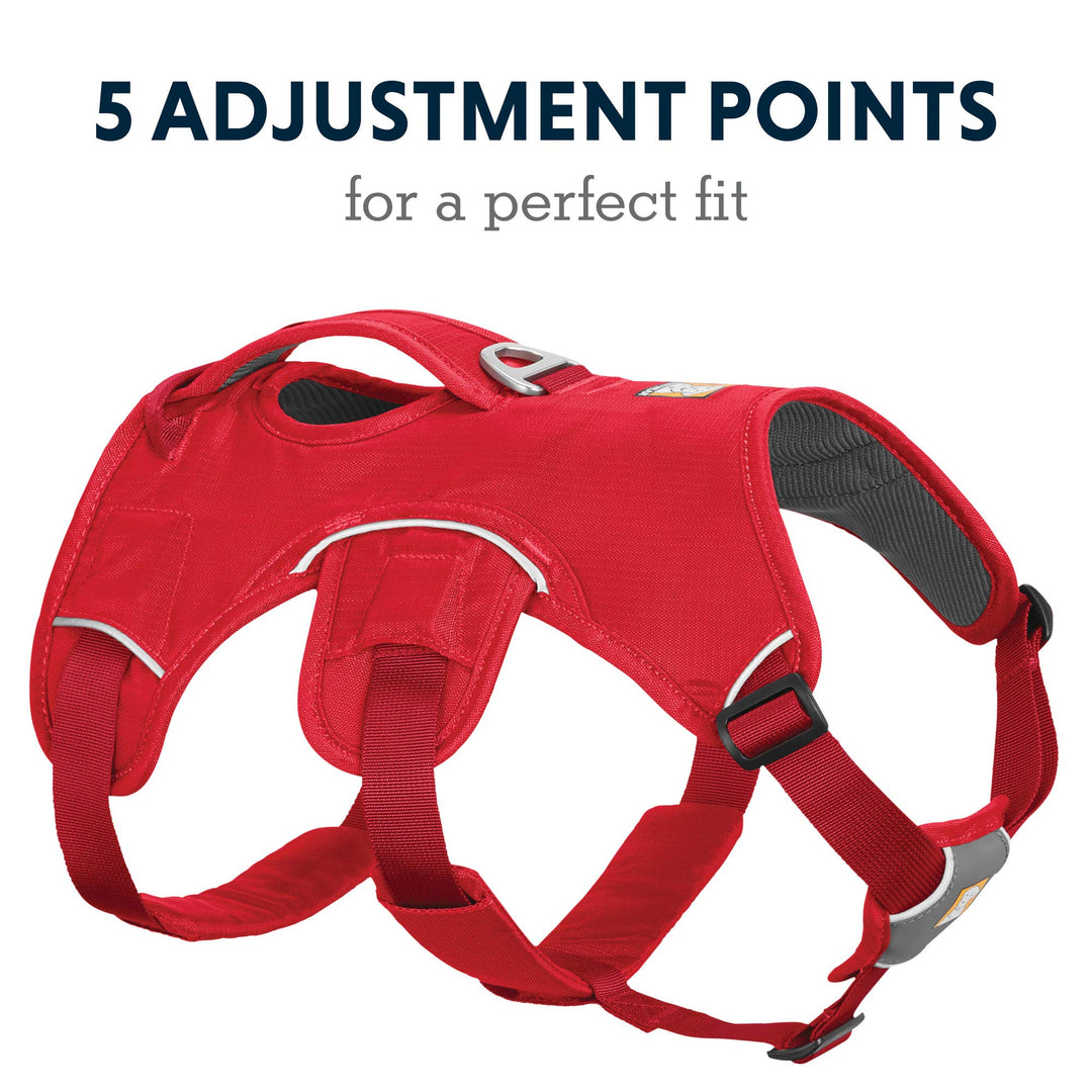 Ruffwear, Web Master, Multi-Use Support Dog Harness, Hiking and Trail Running, Service and Working, Everyday Wear, Red Currant, Medium