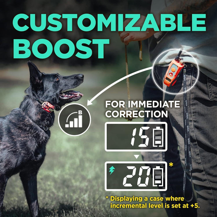 E-Collar Tom Davis 280C ecollar Dog Training Collar with Remote for Dogs Rechargeable Waterproof Boost N’ Bungee 1/2-Mile Range No Bad Dogs