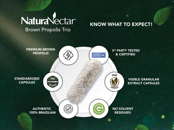 - Brown Bee Propolis - NSF Contents Certified - Premium Brazilian Propolis - Gluten-Free Supplement with Flavonoids, FLAV-B and PWE - Naturally Sourced Through Ethical Beekeeping (60pcs.)