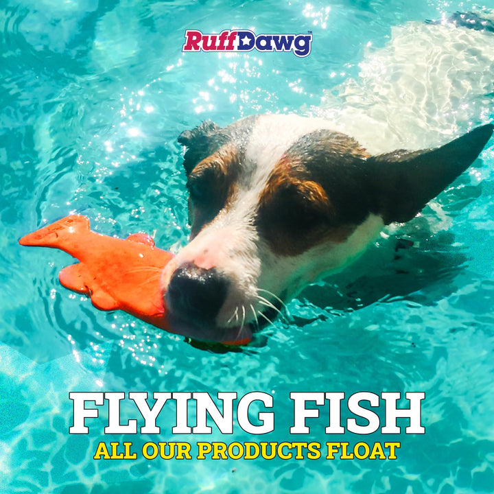 Flying Fish - Durable Floating Dog Toy for Water & Land Play - for All Breeds - Made in The USA - Bright Neon Colors for Visibility and Fun